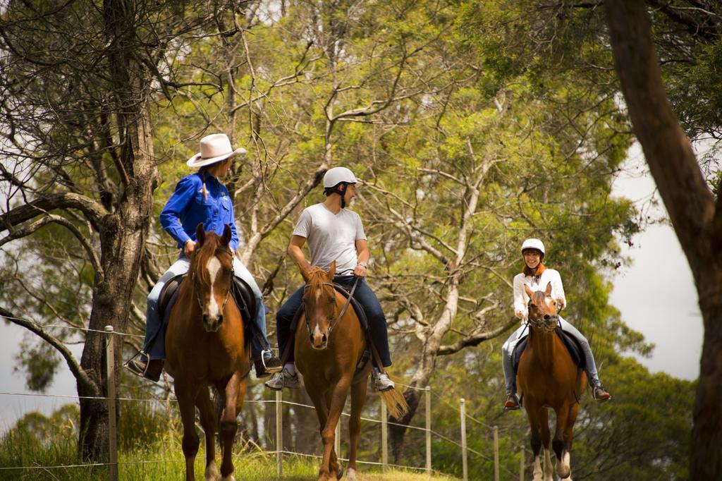 Отель Country Club Tasmania Лонсестон Экстерьер фото